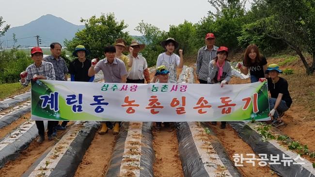 기사 사진