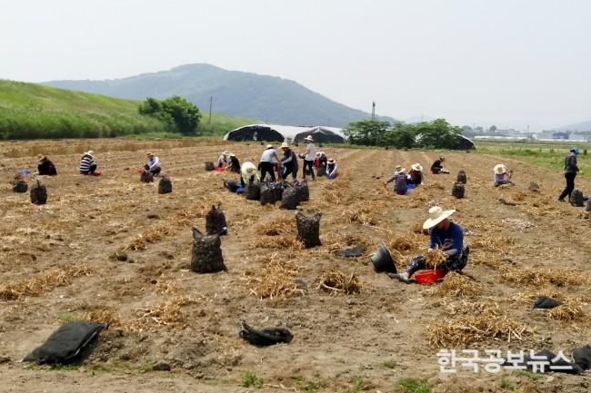 기사 사진