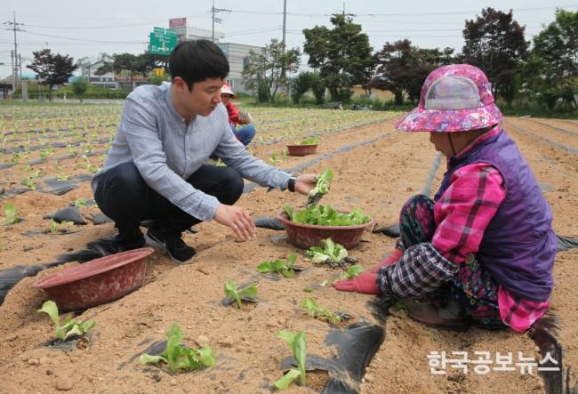 기사 사진