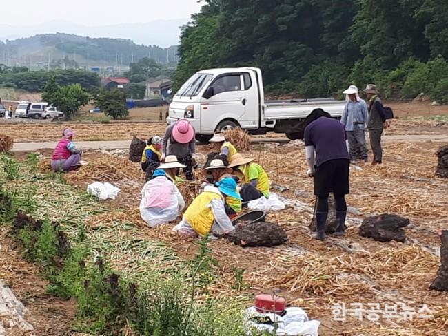 기사 사진