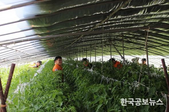 기사 사진