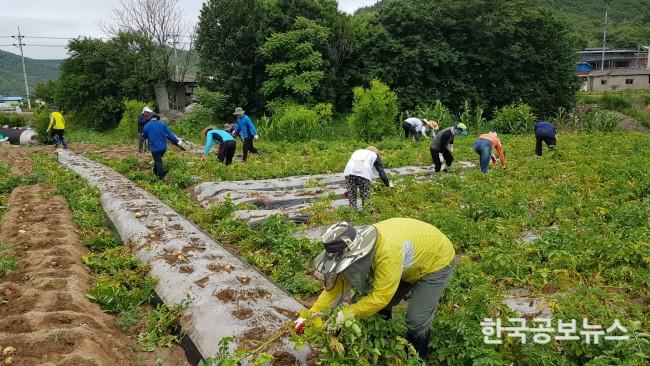 기사 사진