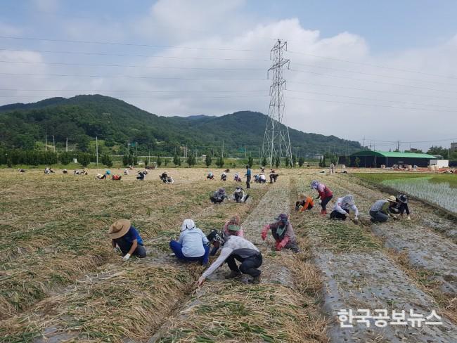 기사 사진