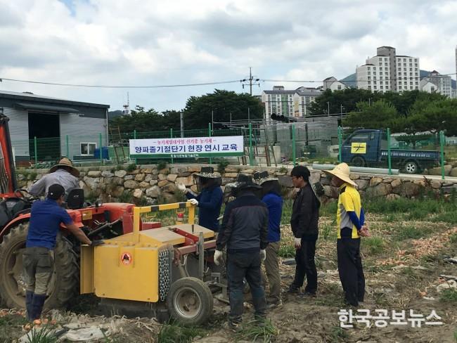 기사 사진