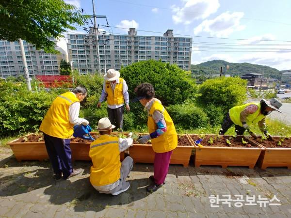기사 사진
