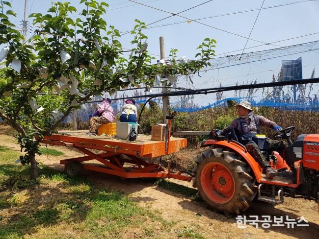 기사 사진