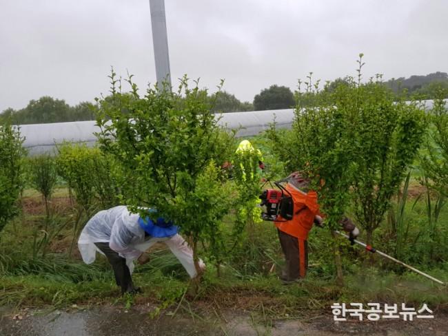 기사 사진