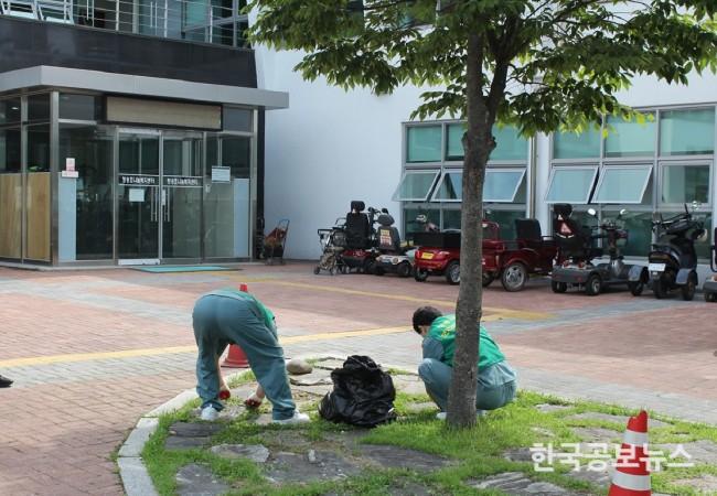기사 사진