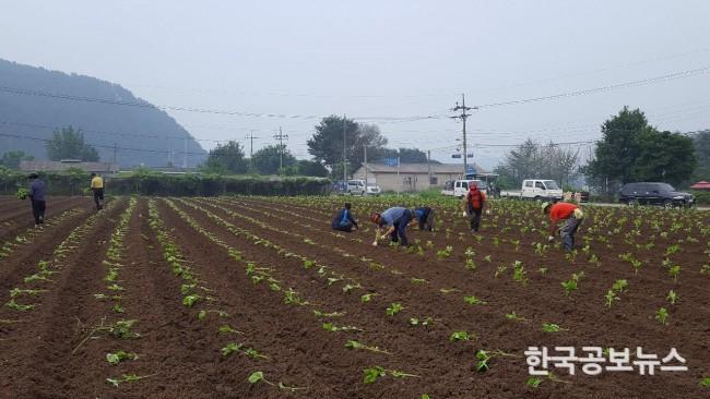 기사 사진