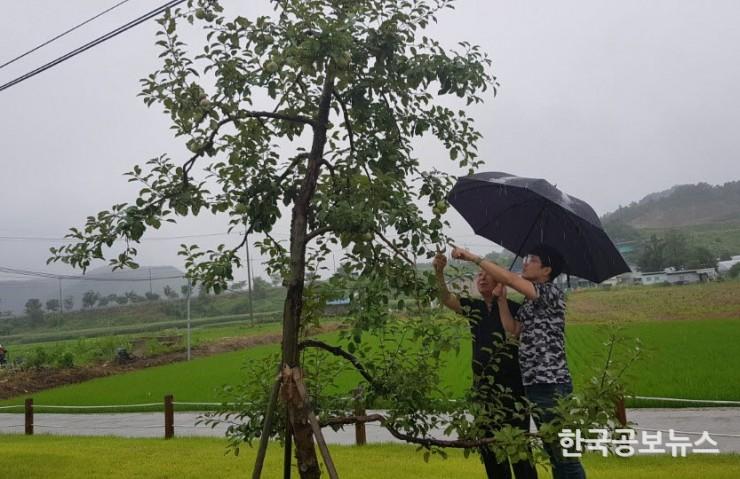 기사 사진