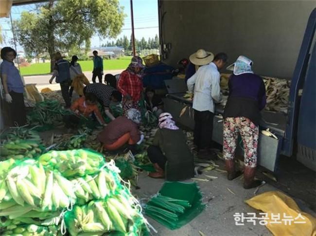 기사 사진