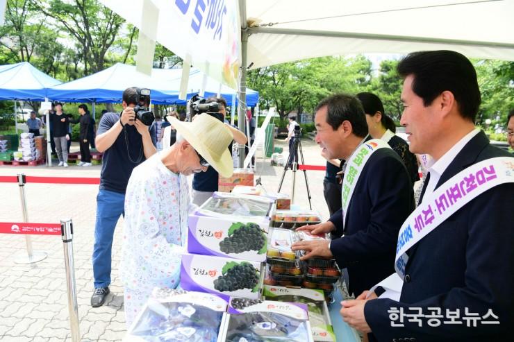 기사 사진