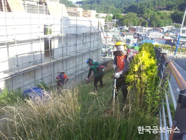 기사 사진