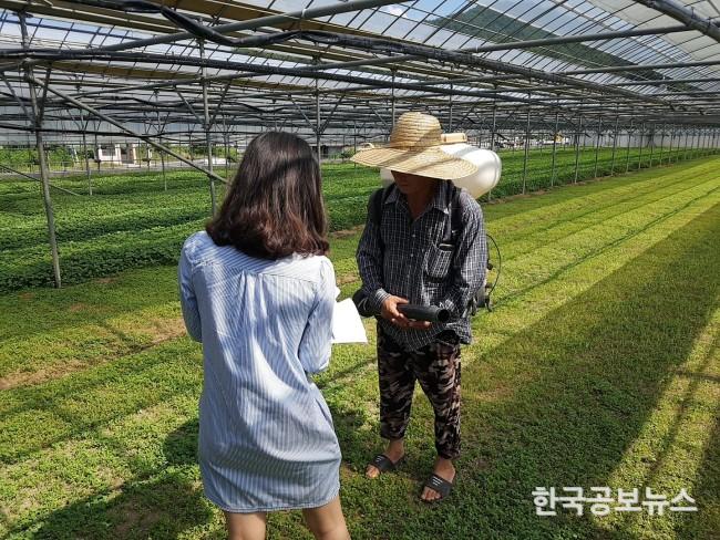 기사 사진