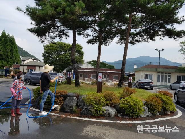 기사 사진