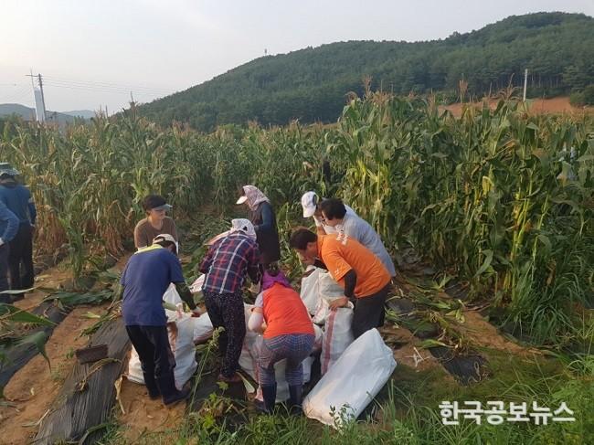 기사 사진