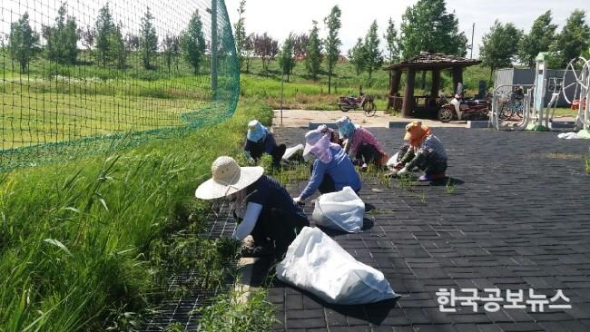 기사 사진