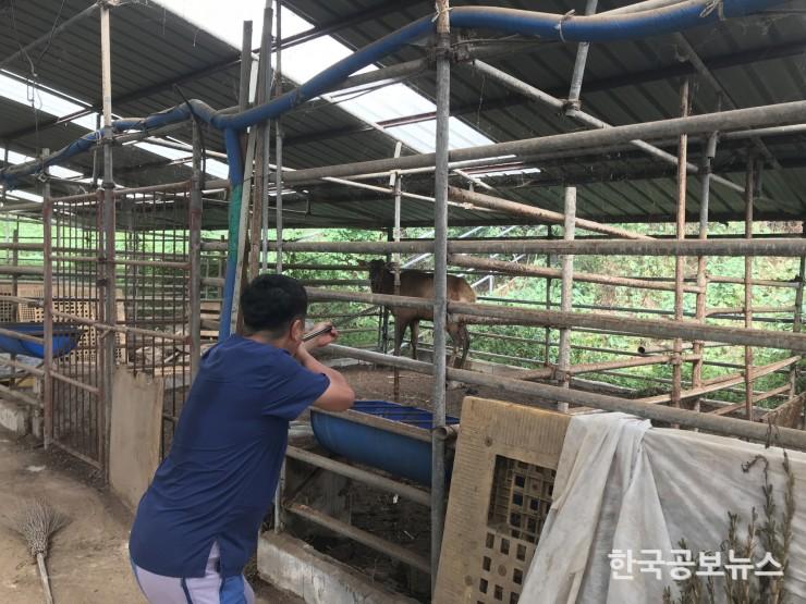 기사 사진
