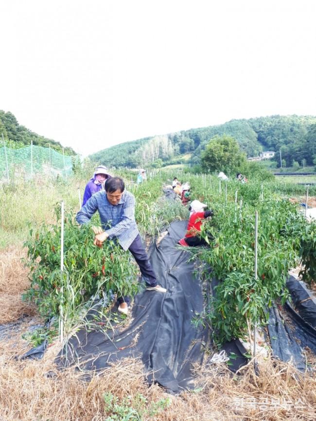 기사 사진