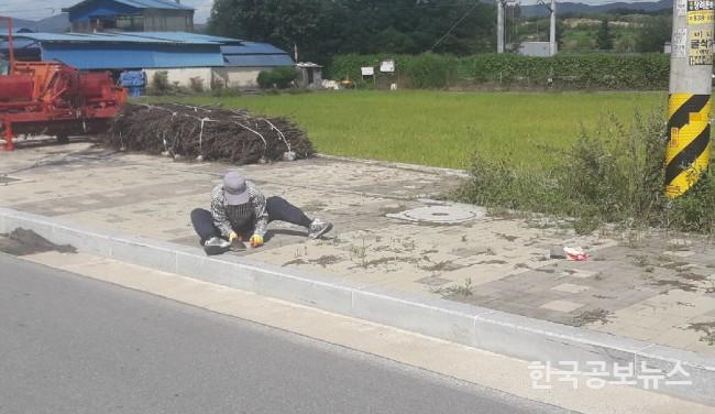 기사 사진