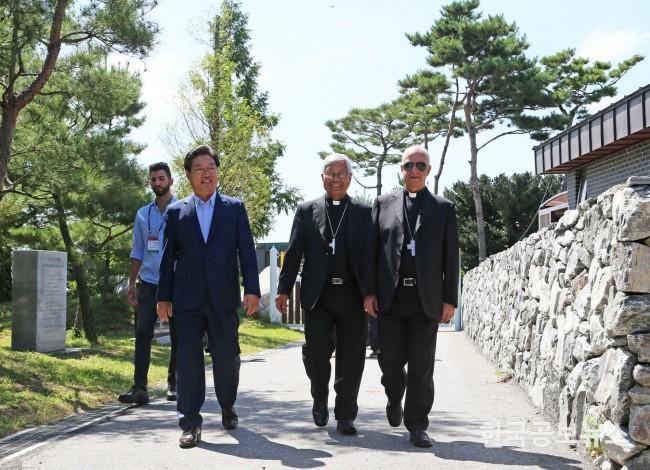 기사 사진