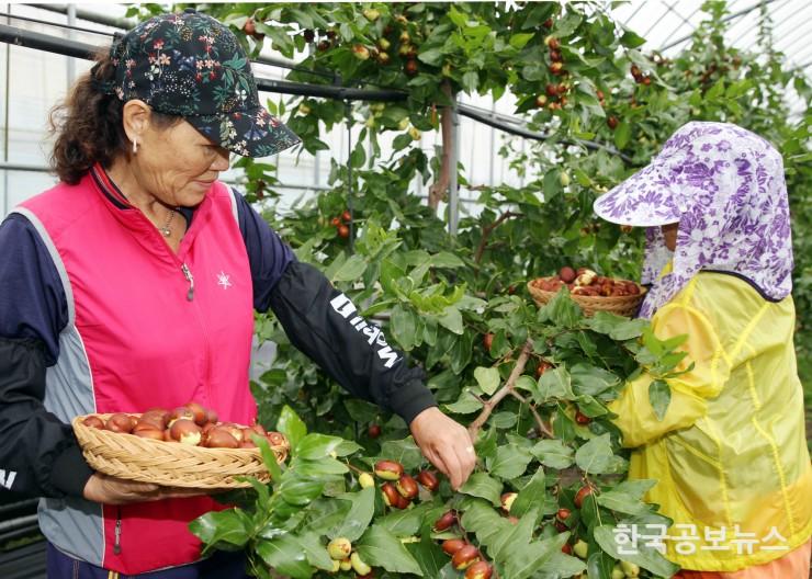 기사 사진
