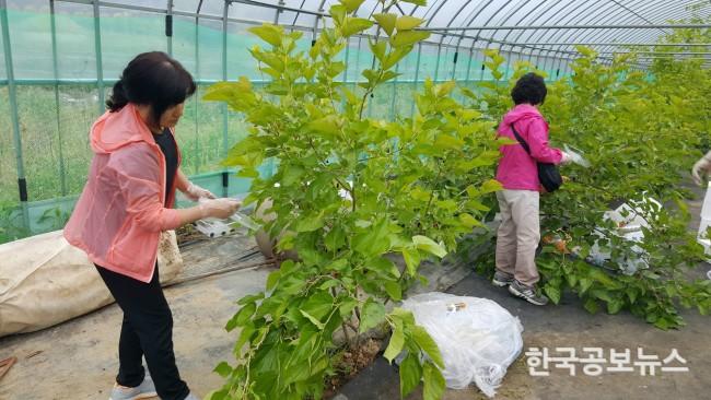 기사 사진