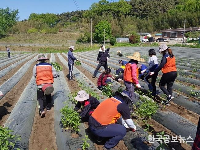 기사 사진