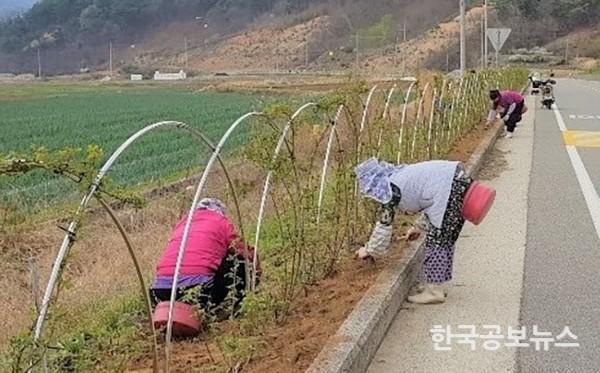 기사 사진