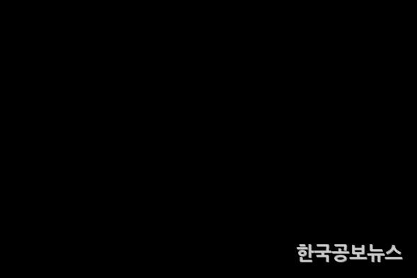 기사이미지 https://kpnnews.cdn.ntruss.com/202403230843301711194210694
