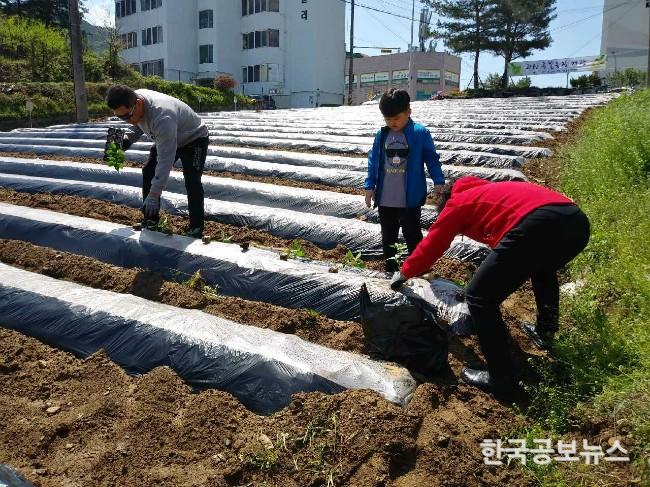 기사 사진