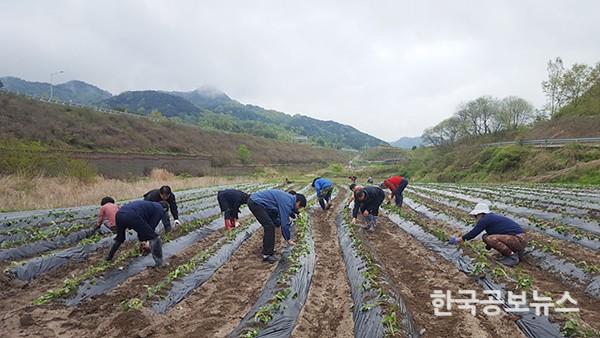 기사 사진