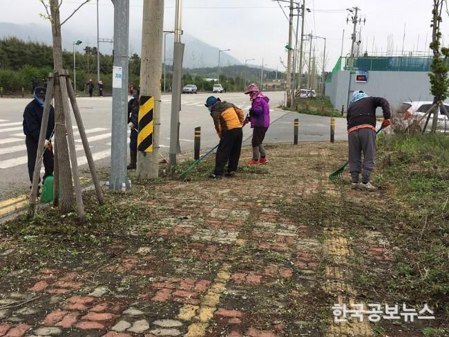 기사 사진