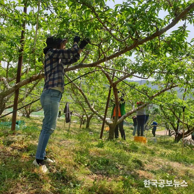 기사 사진