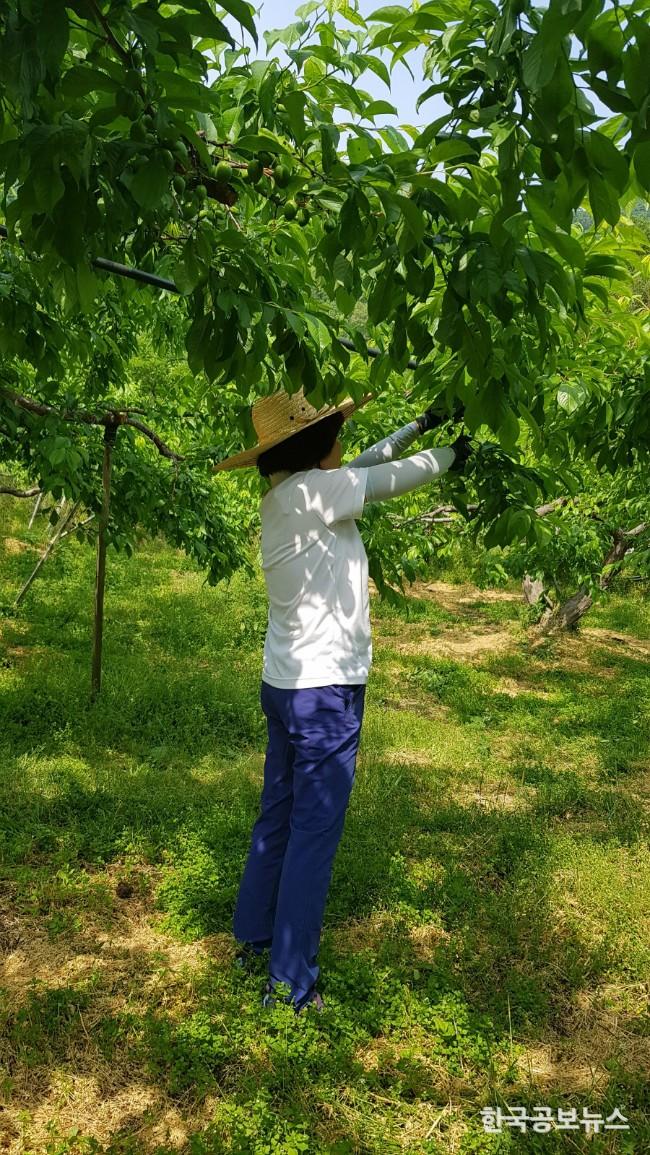 기사 사진
