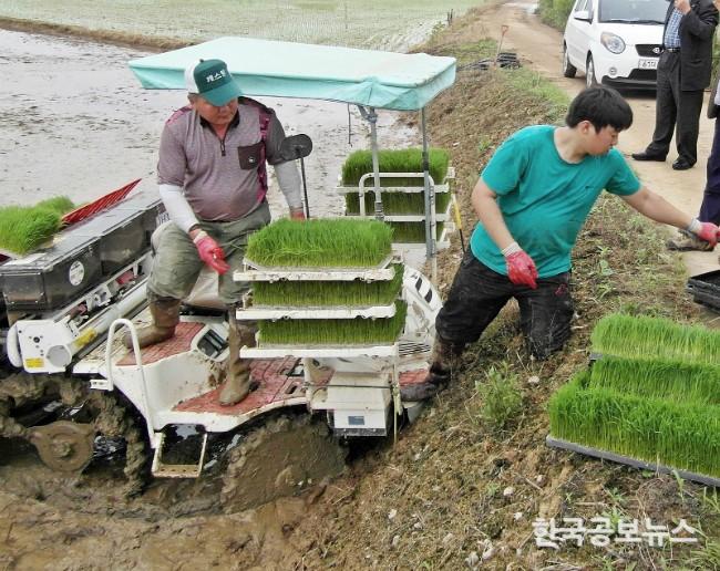 기사 사진