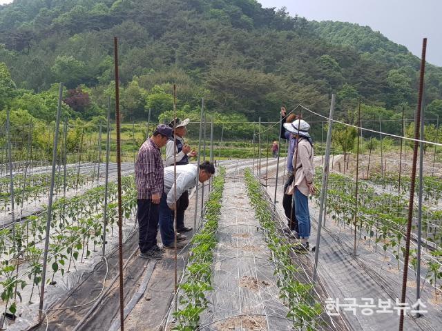 기사 사진