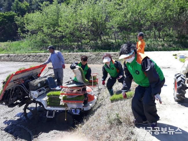 기사 사진