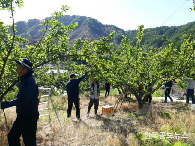 기사 사진