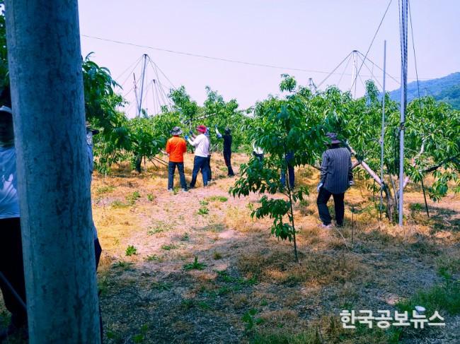 기사 사진