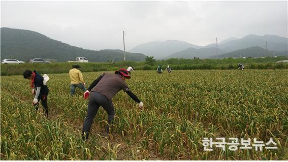 기사 사진