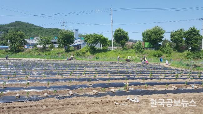 기사 사진