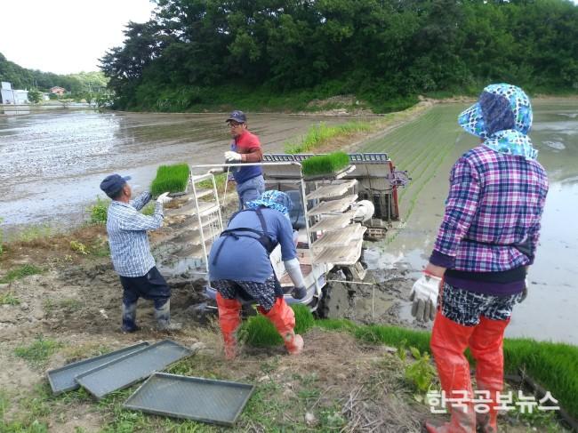기사 사진
