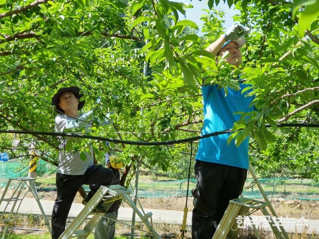 기사 사진
