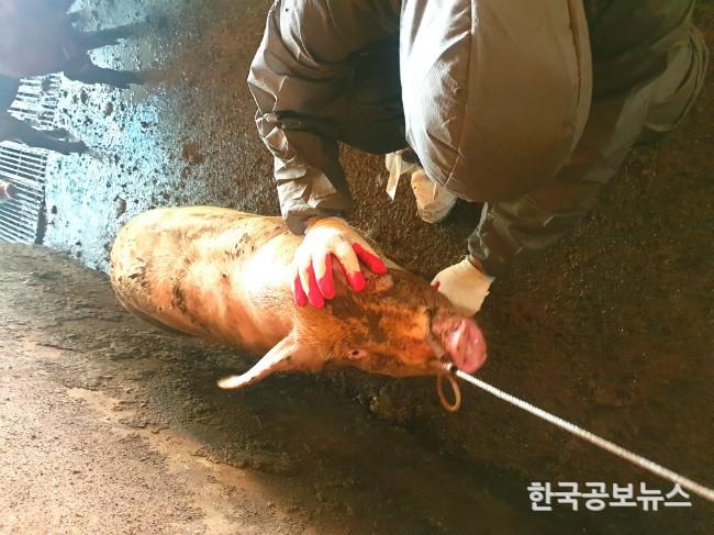 기사 사진