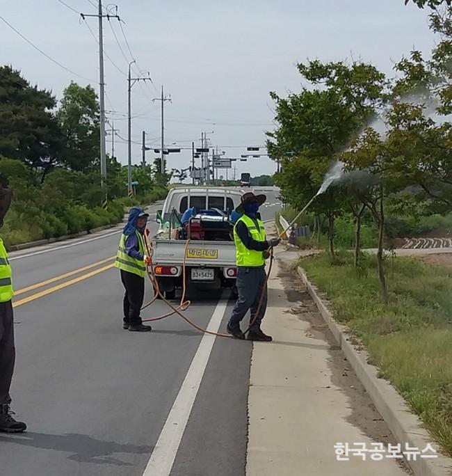 기사 사진