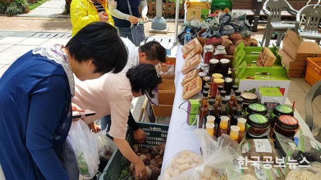 기사 사진