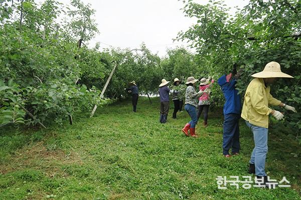 기사 사진