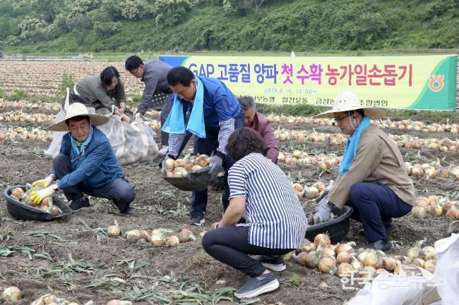 기사 사진