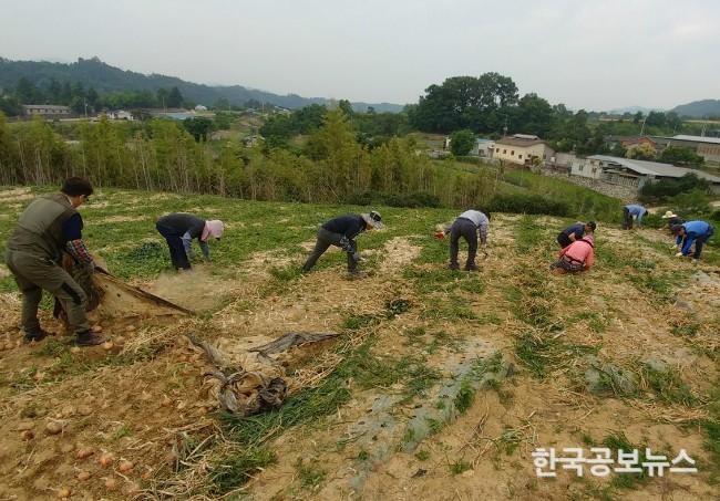 기사 사진
